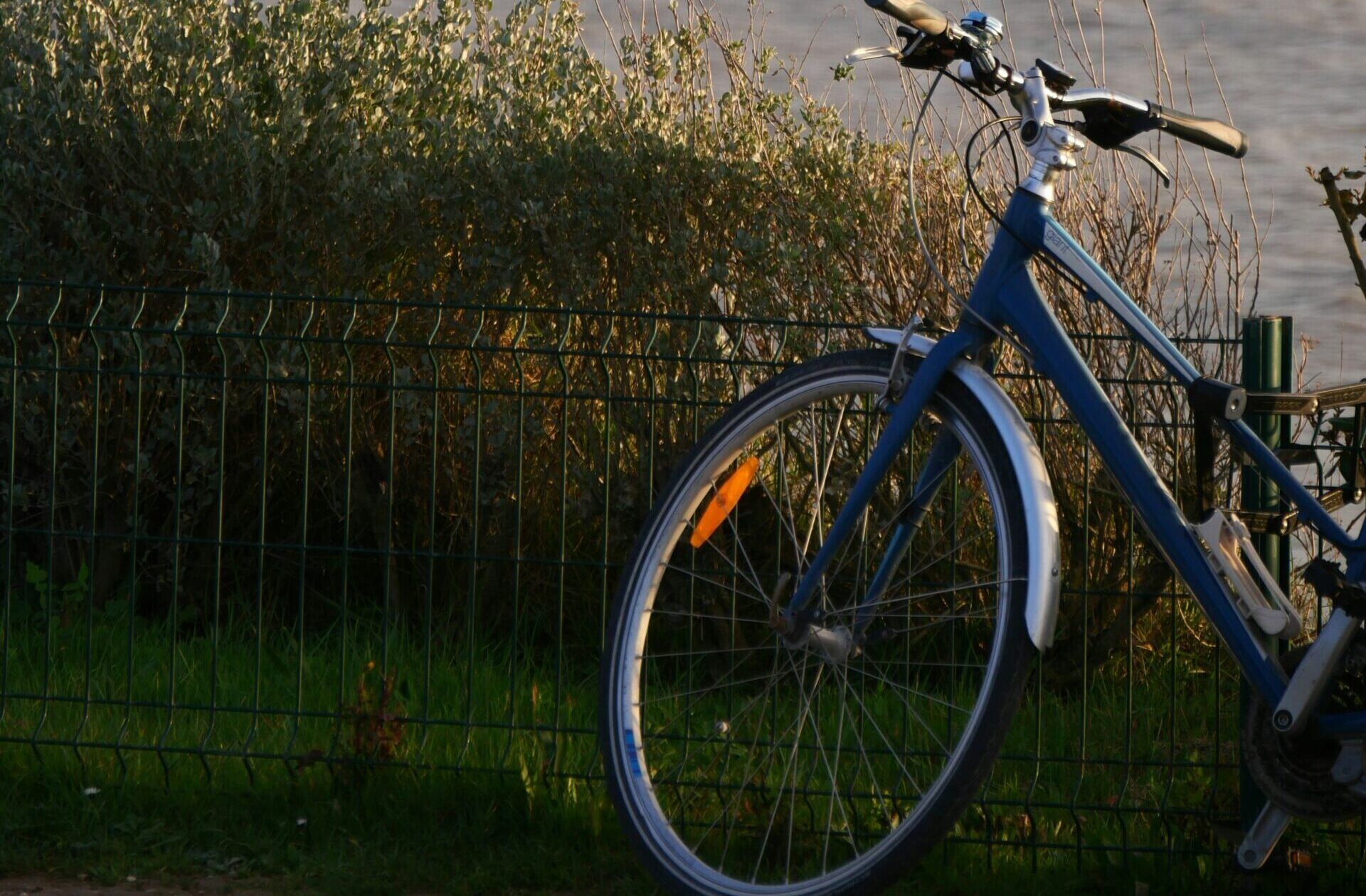Bicycle leaning against a fence with the sea in the background
