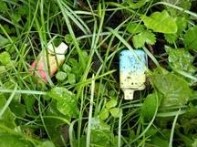 Cigarros eletrônicos descartados na área gramada