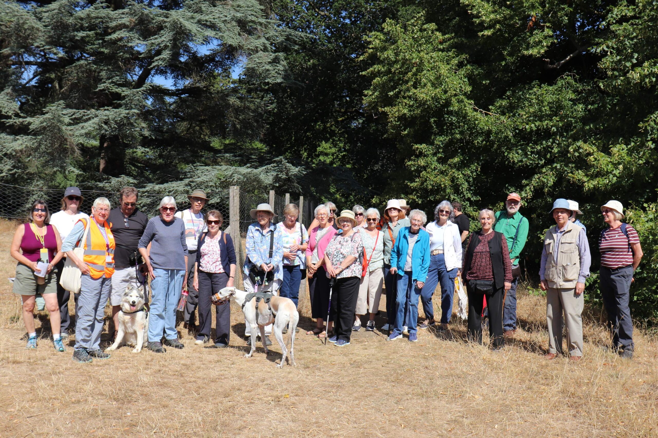 Nowton walks 1 scaled